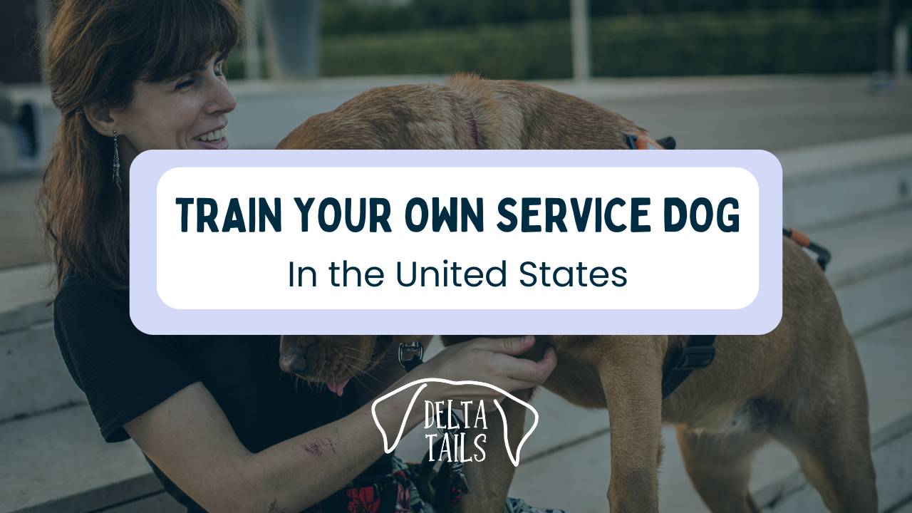 How to Train Your Own Service Dog