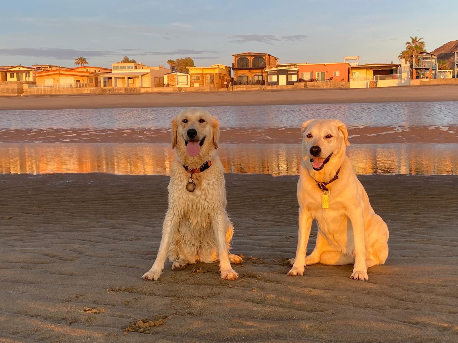Maya & Mila em San Felipe, Baja California