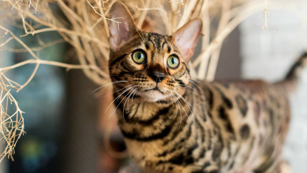 Best Prescription EVER