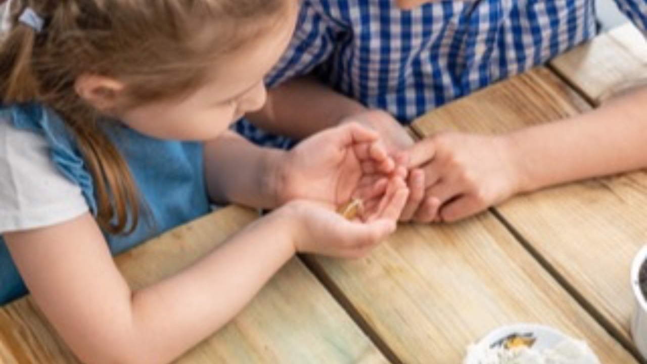 Enabling adults in play