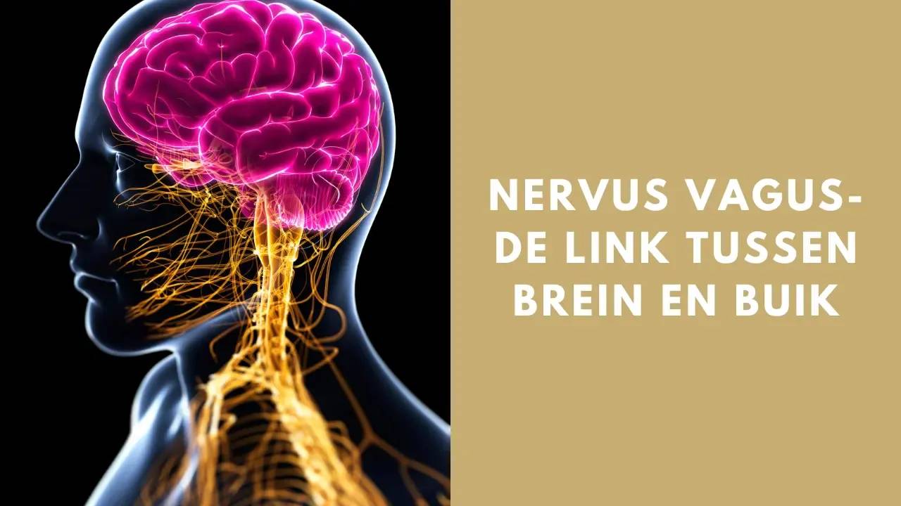 Nervus vagus klachten herkennen en kalmeren
