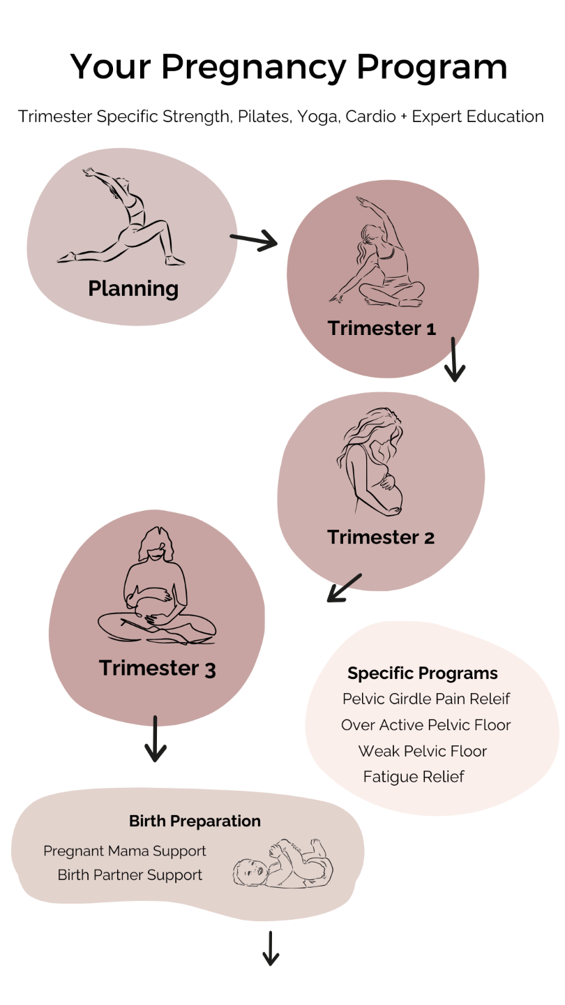 online pregnancy fitness program with safe workouts