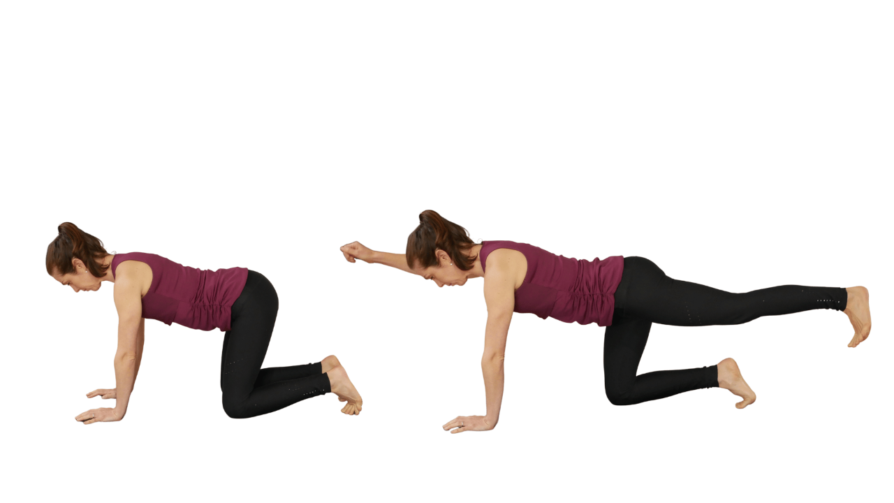 Bird Dog Exercise During Pregnancy: Description and Benefits