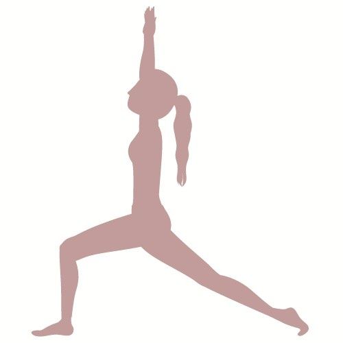 Prenatal Fitness Plan