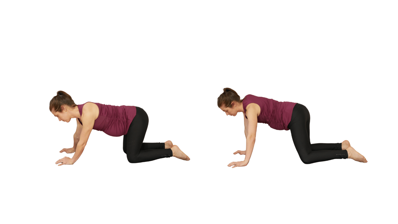 Hip Circles on All Fours During Pregnancy: Description and Benefits