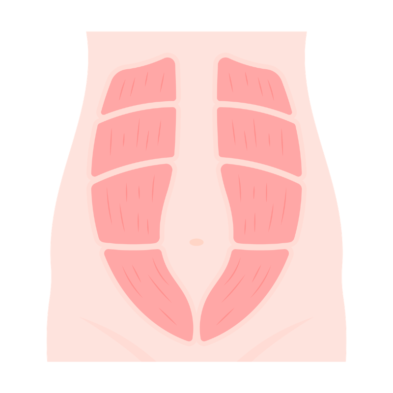heal DIASTASIS RECTI