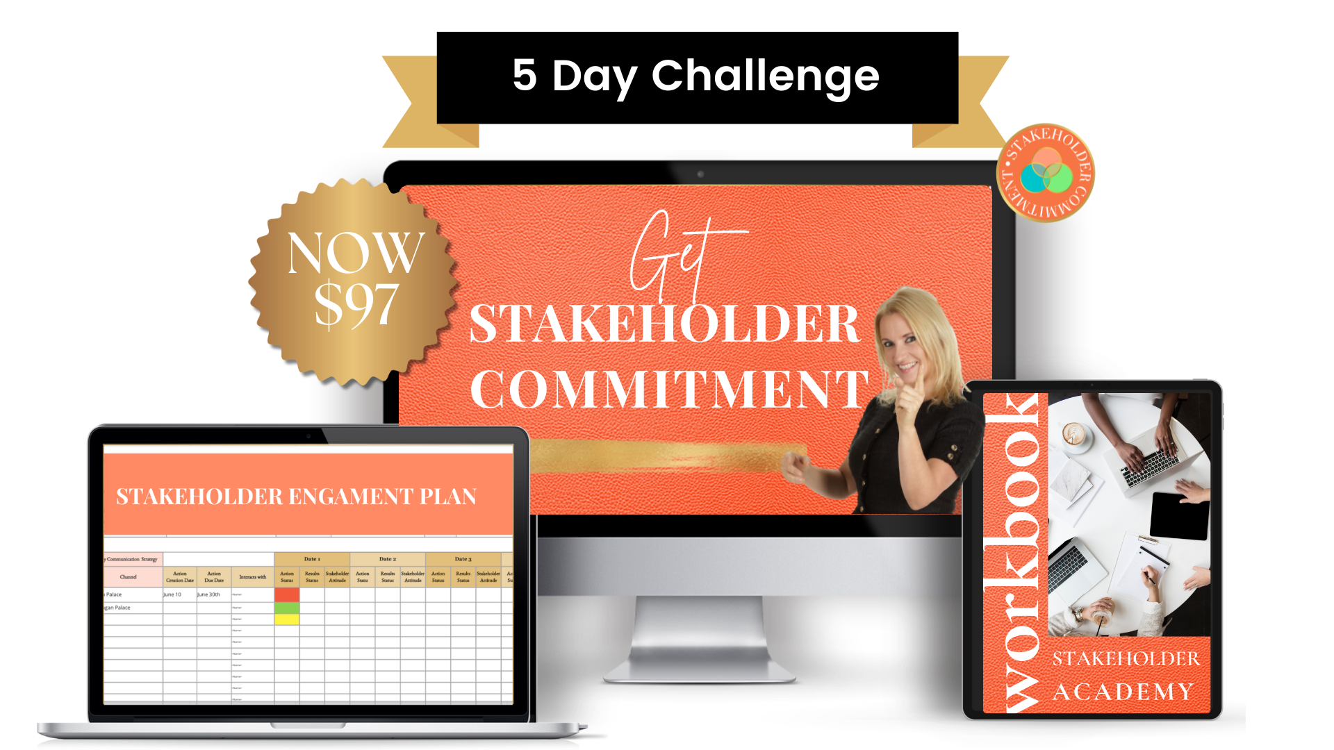 Stakeholder Challenge