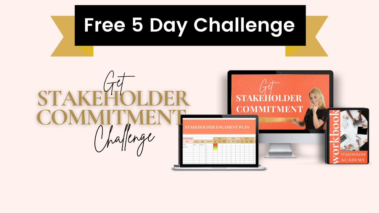 Stakeholder Challenge