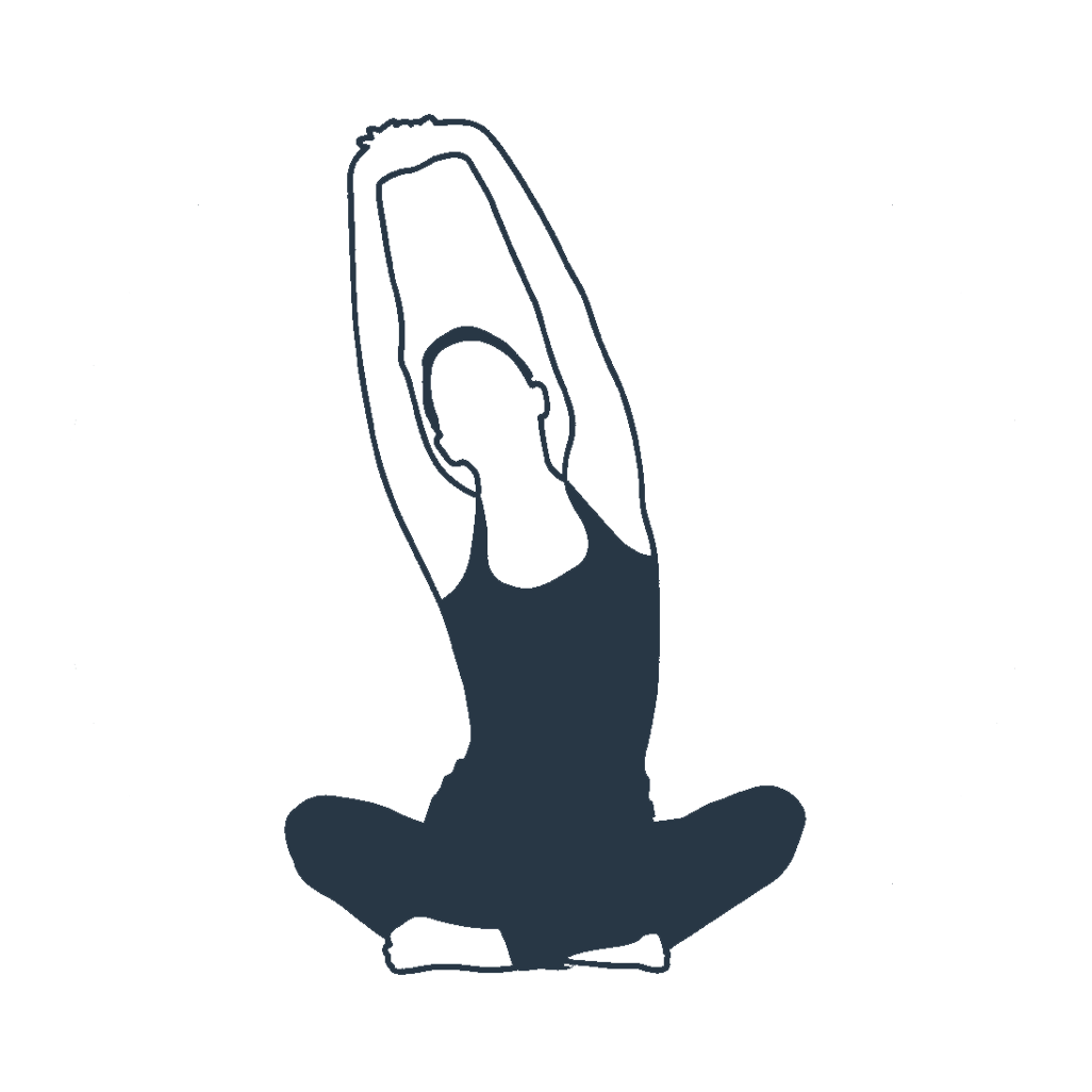 Anatomy Inspired: Practical | Spiral Syllabus