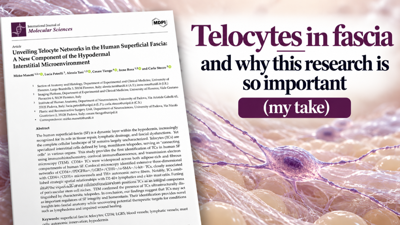 Telocytes in the Superficial Fascia