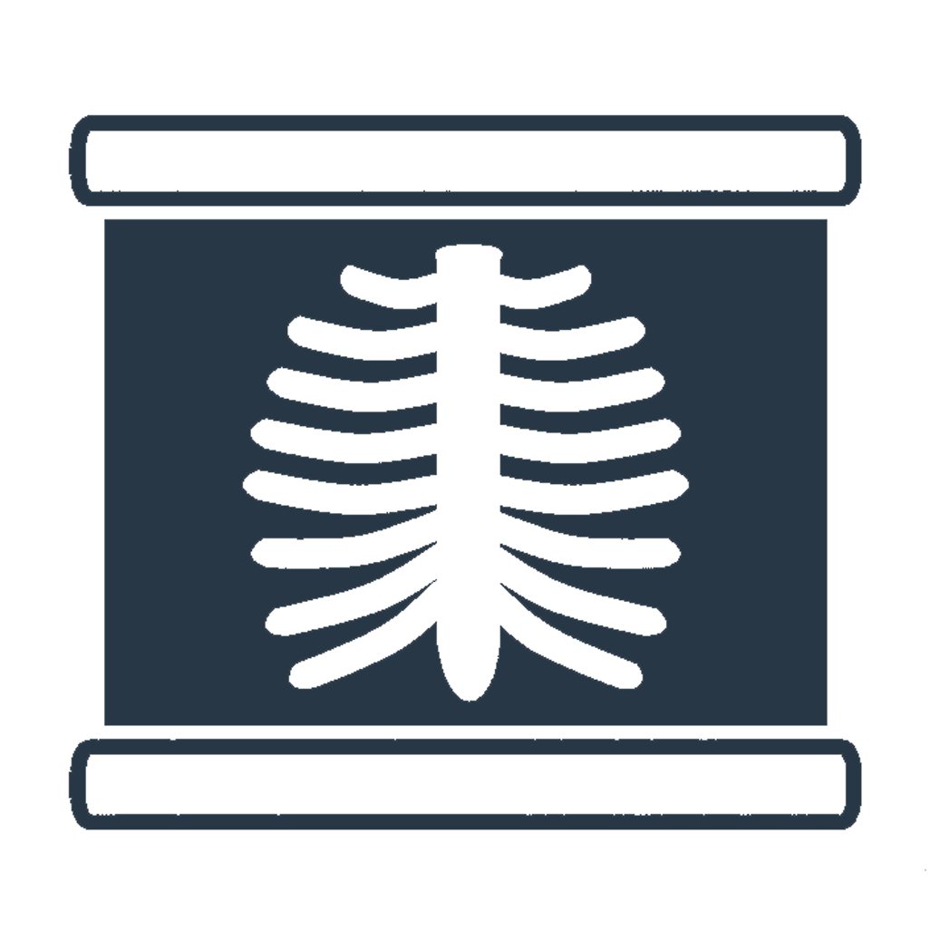 Anatomy Inspired: 20 Hours of Presentation | Spiral Syllabus
