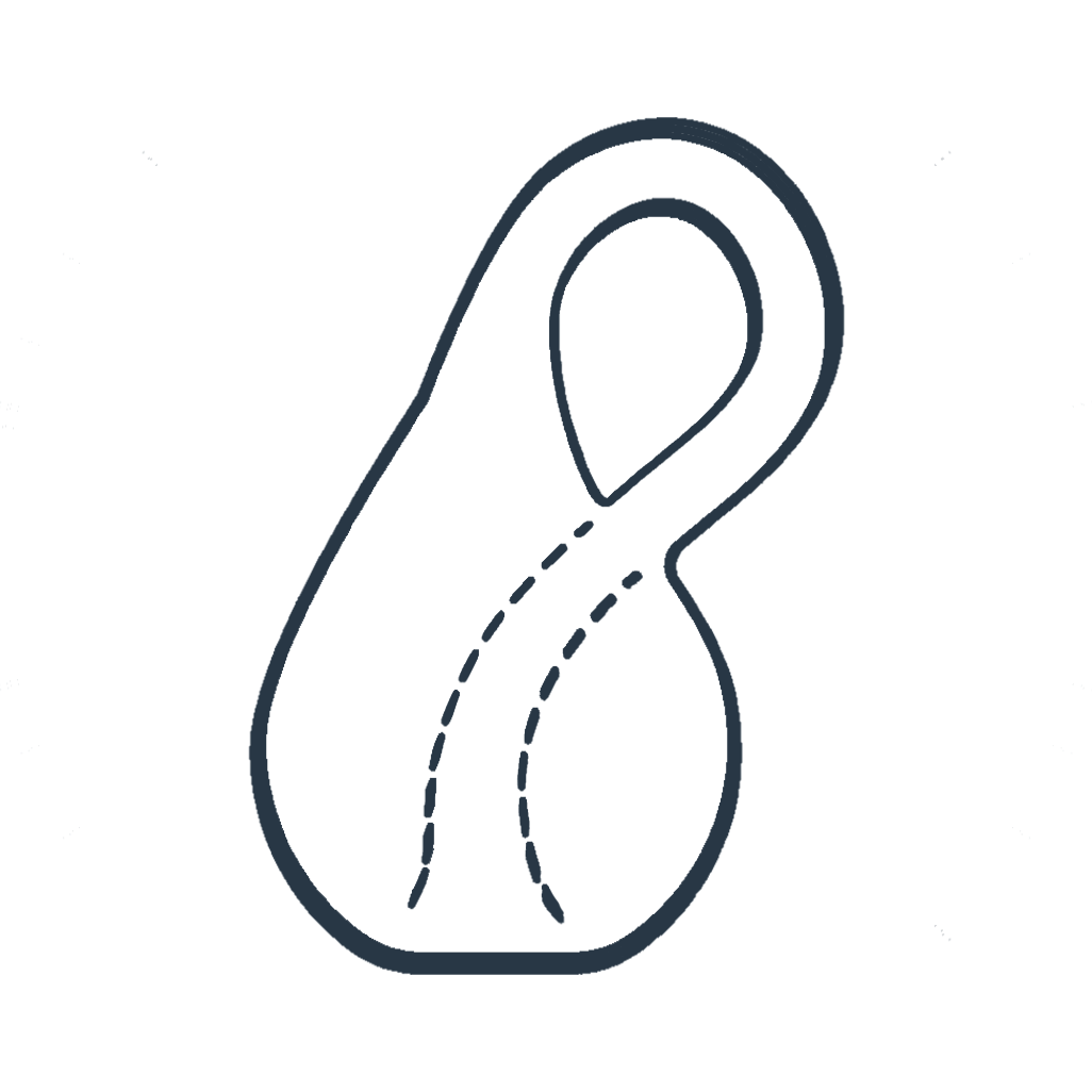 Anatomy Inspired: Sharpen Your Edge | Spiral Syllabus