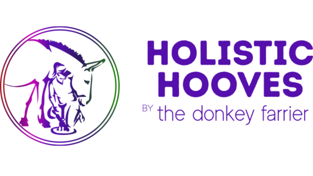 Header Logo
