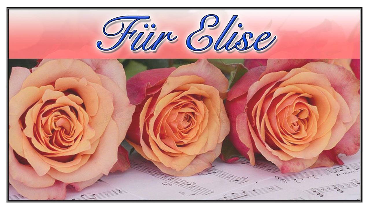 Für Elise course