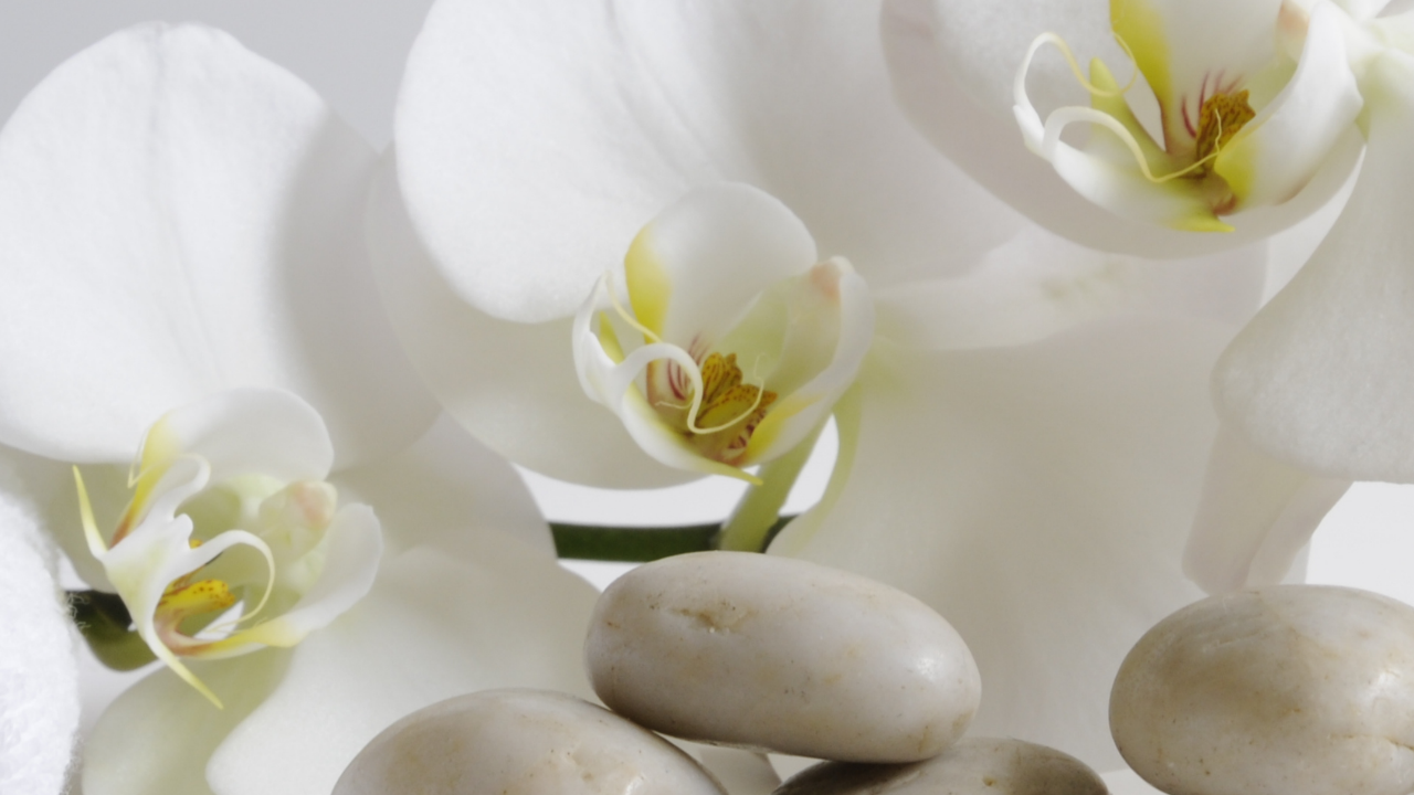 White orchids, smooth spa stones, and soft natural light creating a peaceful bridal wellness setting that symbolizes relaxation, beauty, and wedding day self-care.