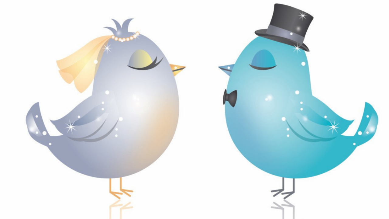 Whimsical bride and groom birds wearing wedding accessories, illustrating different wedding formality levels and wedding dress code styles for brides planning their special day.