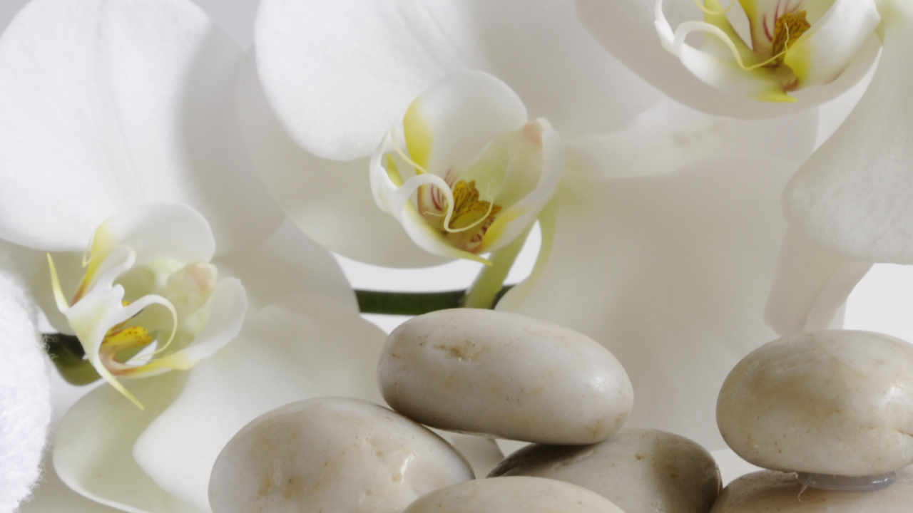White orchid flowers with smooth spa stones representing bridal wellness, relaxation, self-care, and peaceful preparation before a Church of Jesus Christ wedding.