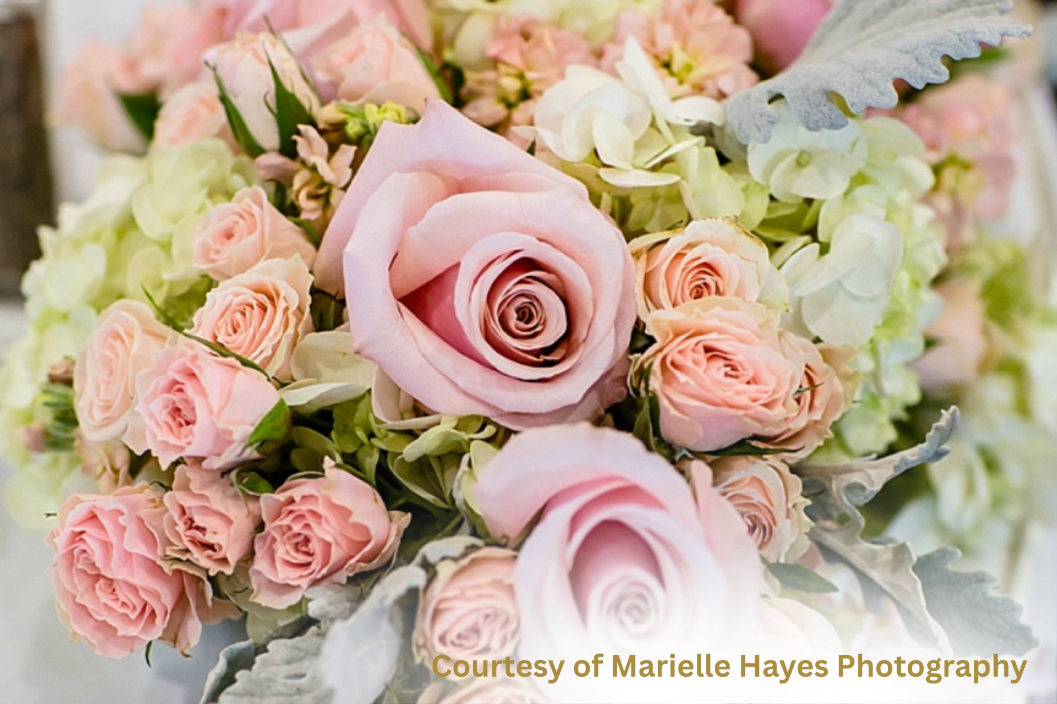 LDS wedding flowers — blush pink roses and white hydrangeas bouquet symbolizing purity, love, and faith, photographed by Marielle Hayes for Church of Jesus Christ Wedding Planning.