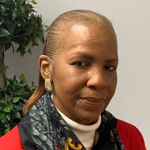 Dr. T. Oya Townsley