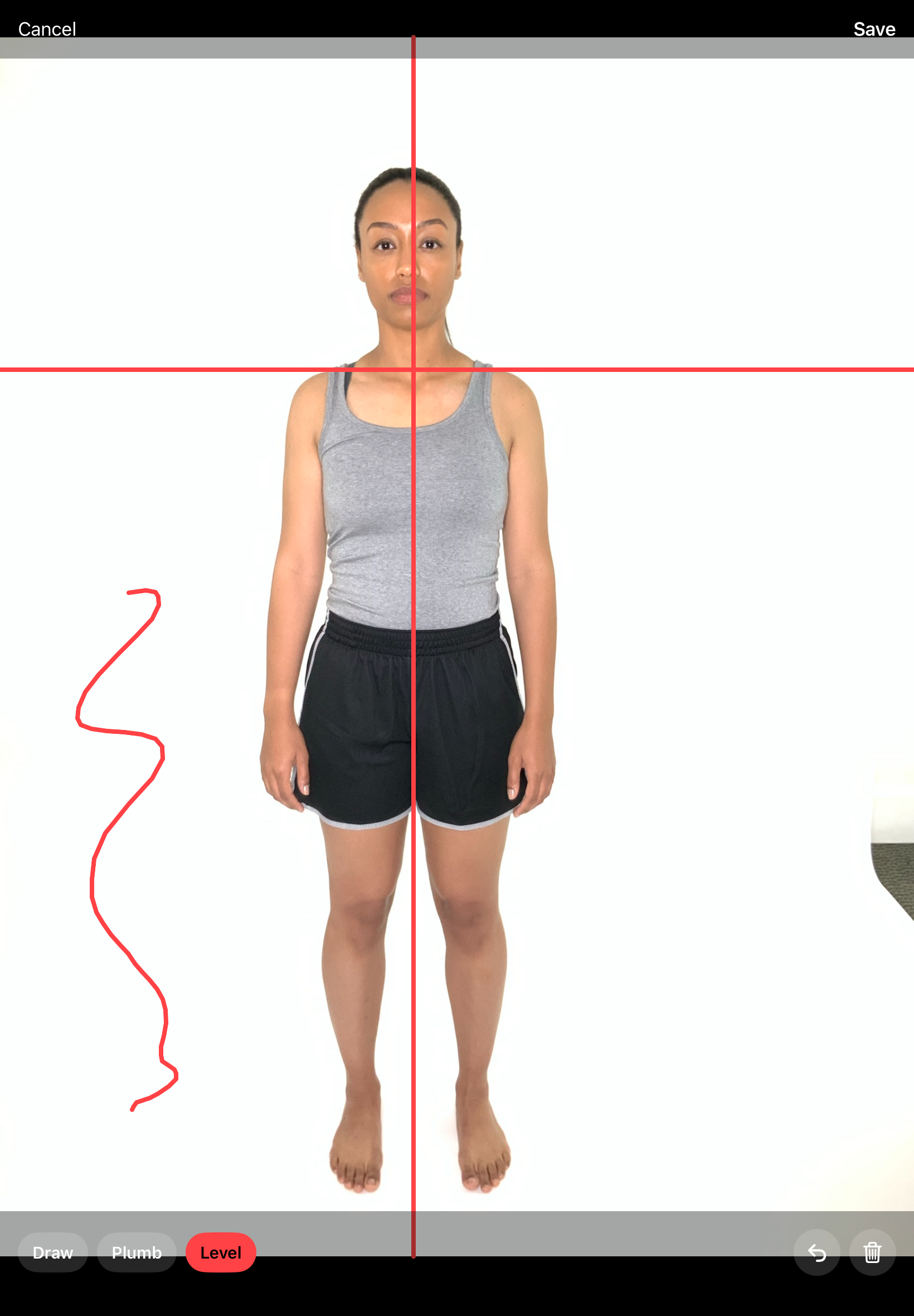 Drawing plumb and level reference lines on a posture photo