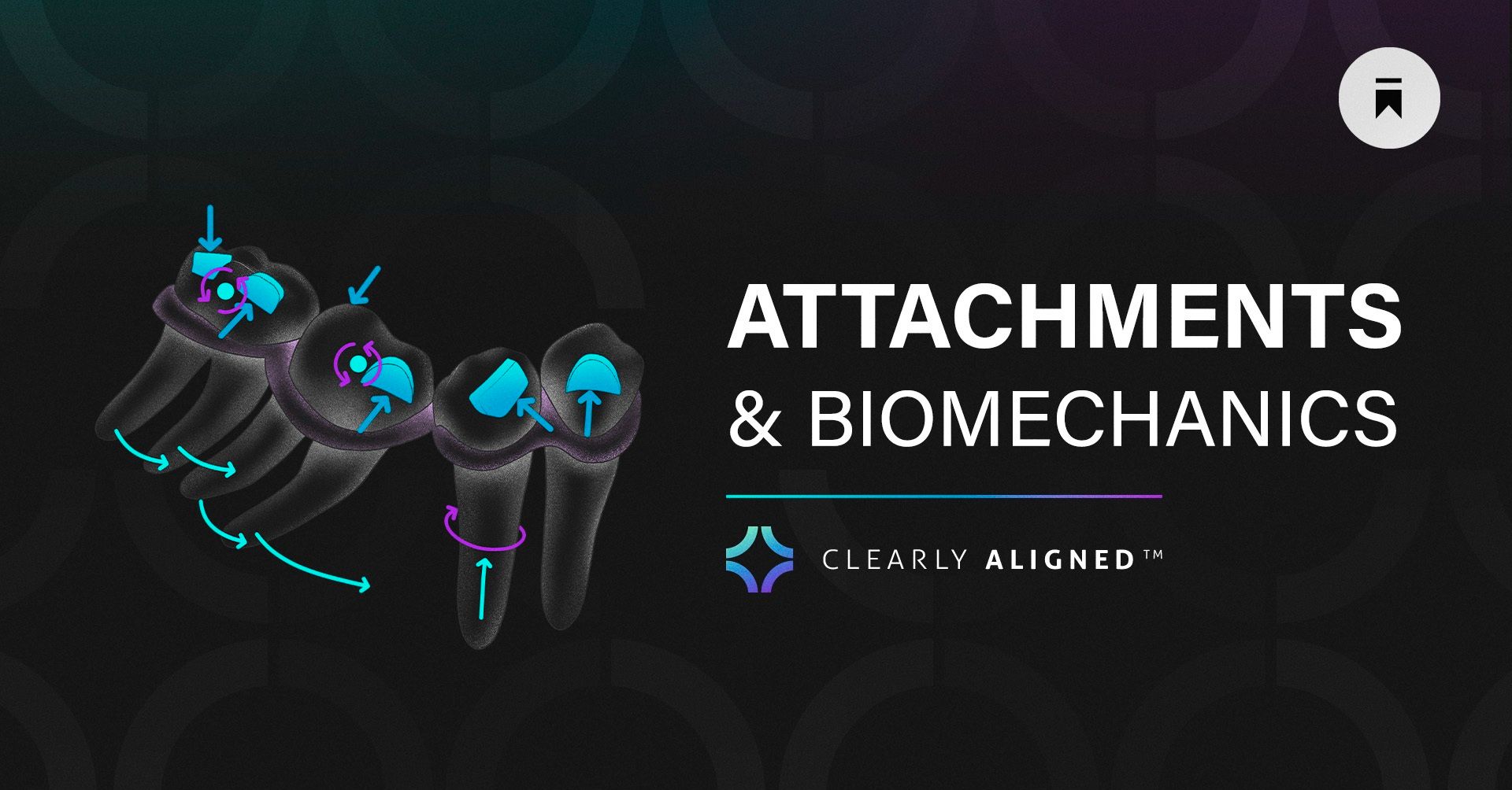 Attachments and Biomechanics