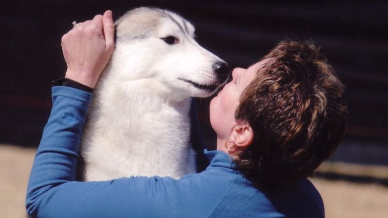 Picture of a woman holding her grey and white Siberian Husky's head as he kisses her chin, conformation training, conformation dog shows, dog training, dog show training, conformation seminars, Sandy Weaver