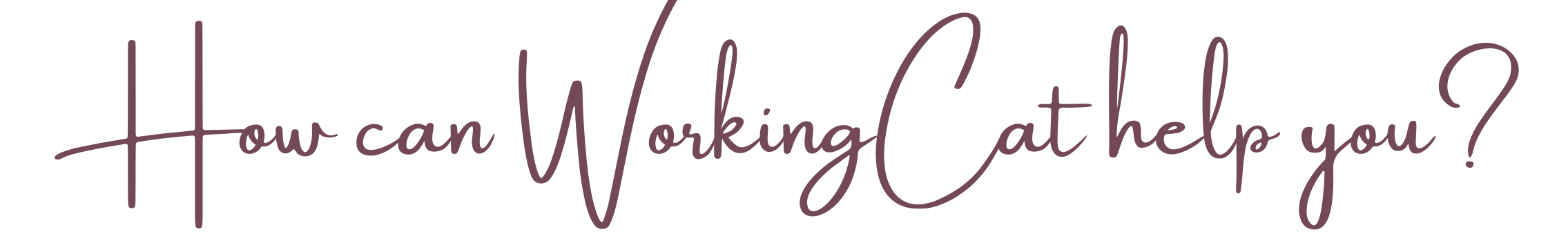 How can WorkingCat Marketing help you?