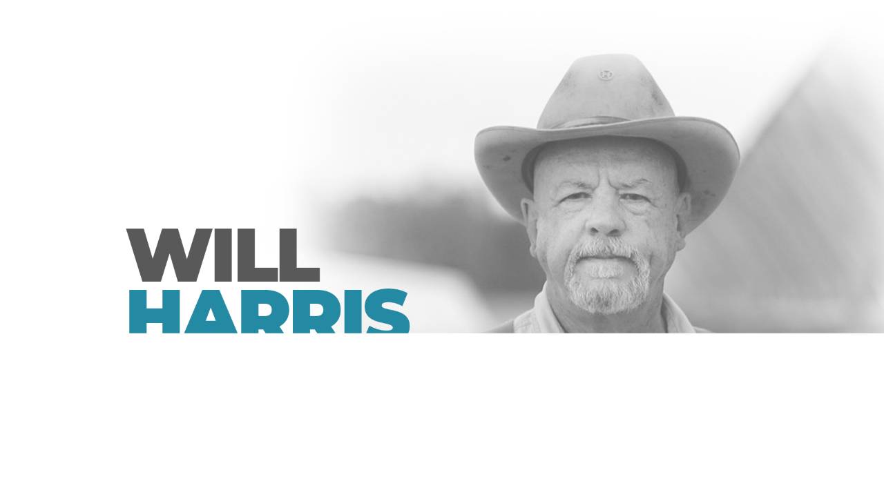 Will Harris Interview