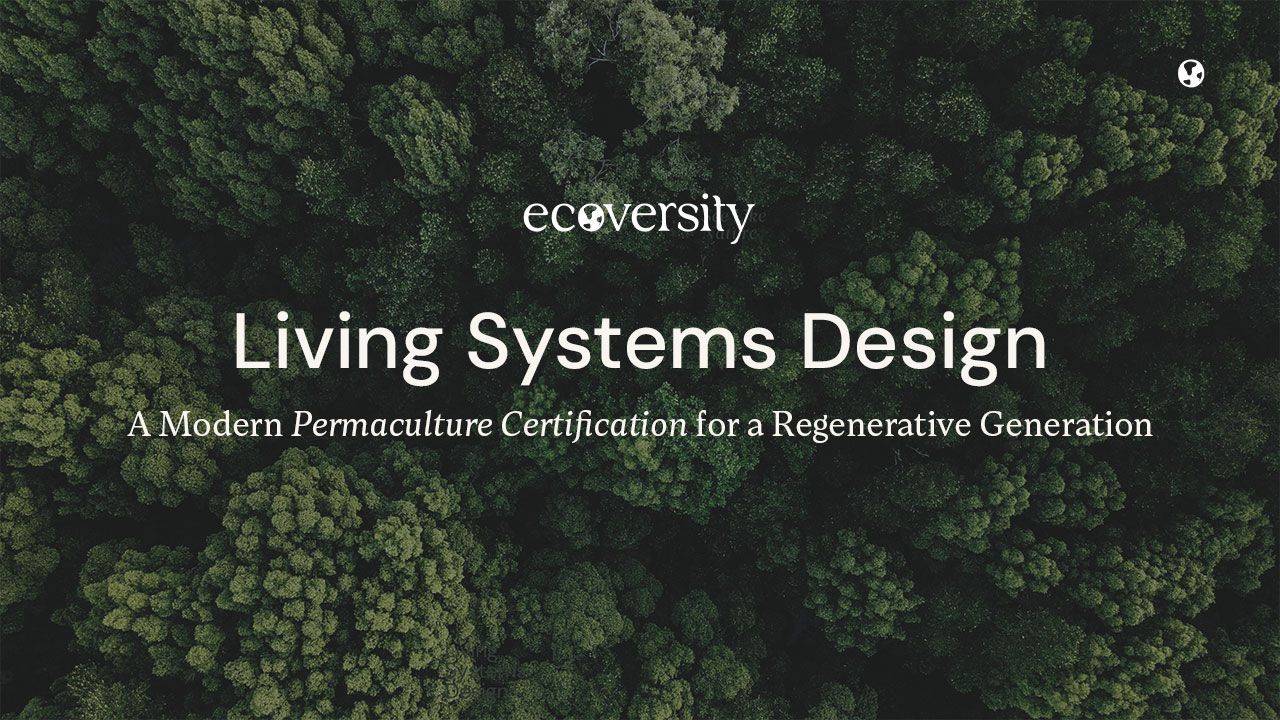 Ecoversity's 6-Month Online Permaculture Design Certification