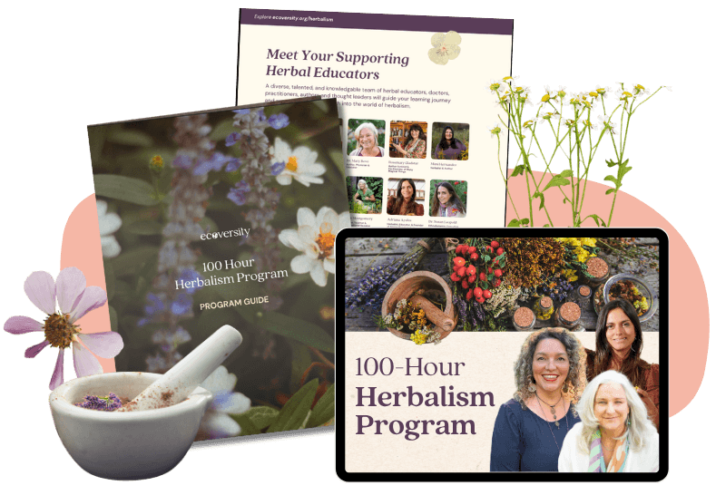 Program Guide image 