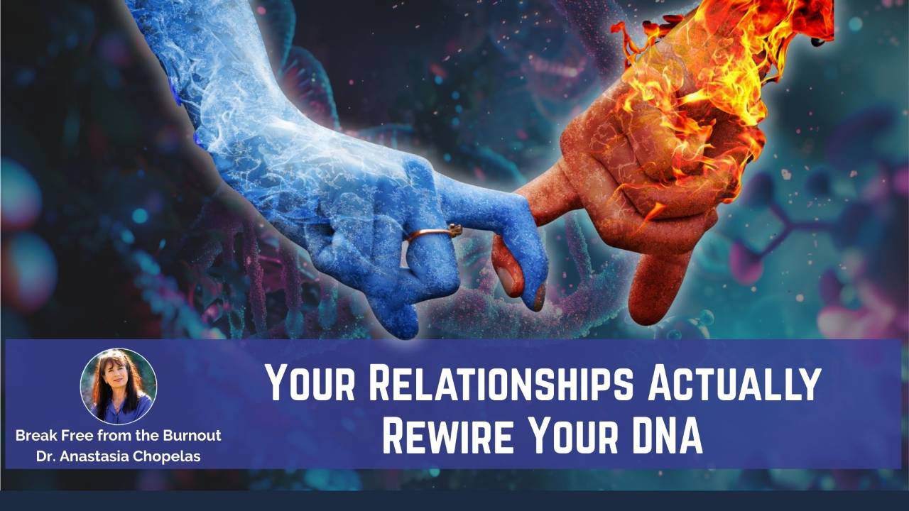 Dna Storefront The Science Behind How Your Relationships Rewire Your DNA