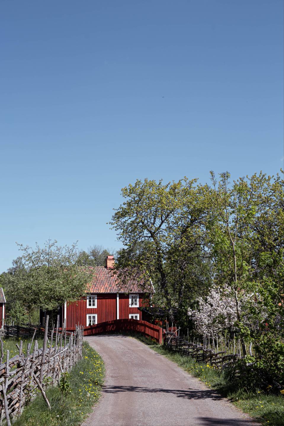 Rotes Holzhaus und Feldweg in Schweden im Frühling