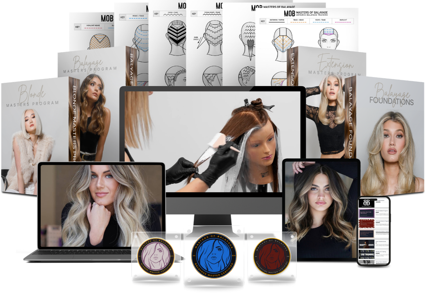 Luxury Balayage Certification Program