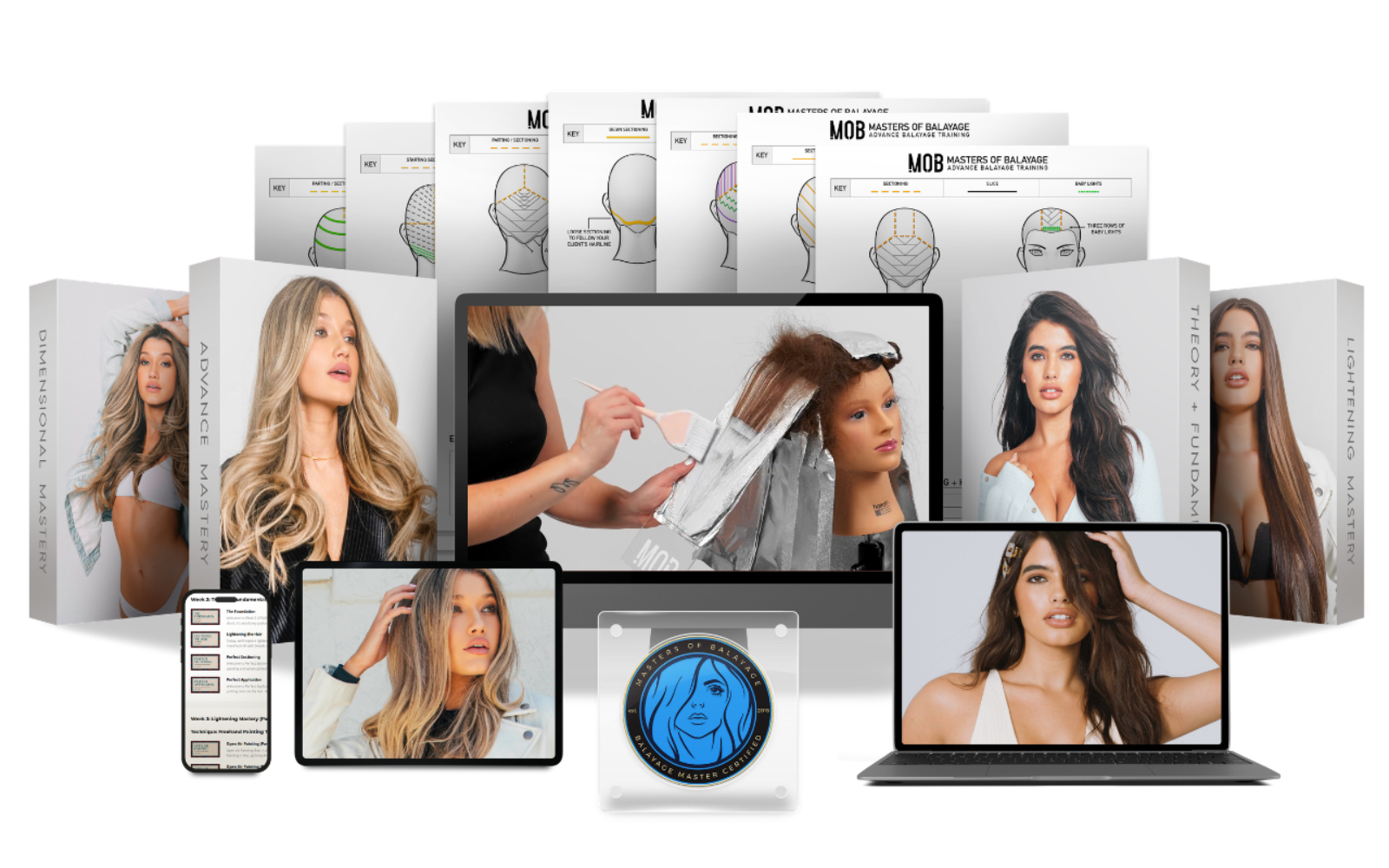 Balayage Masters Program