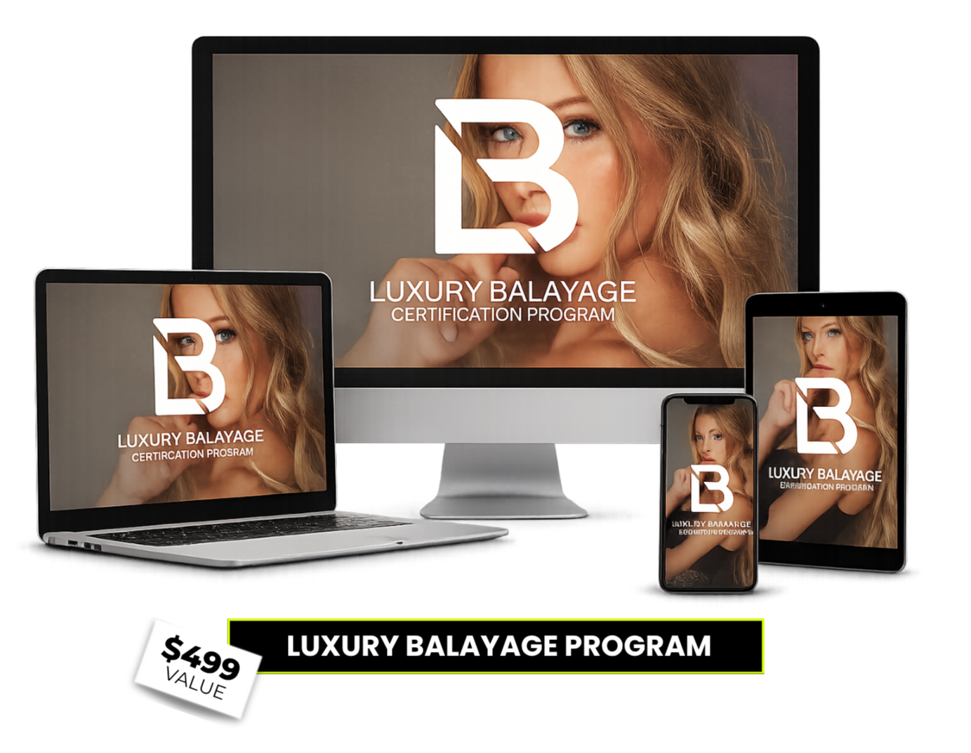 Luxury Balayage Certification Program