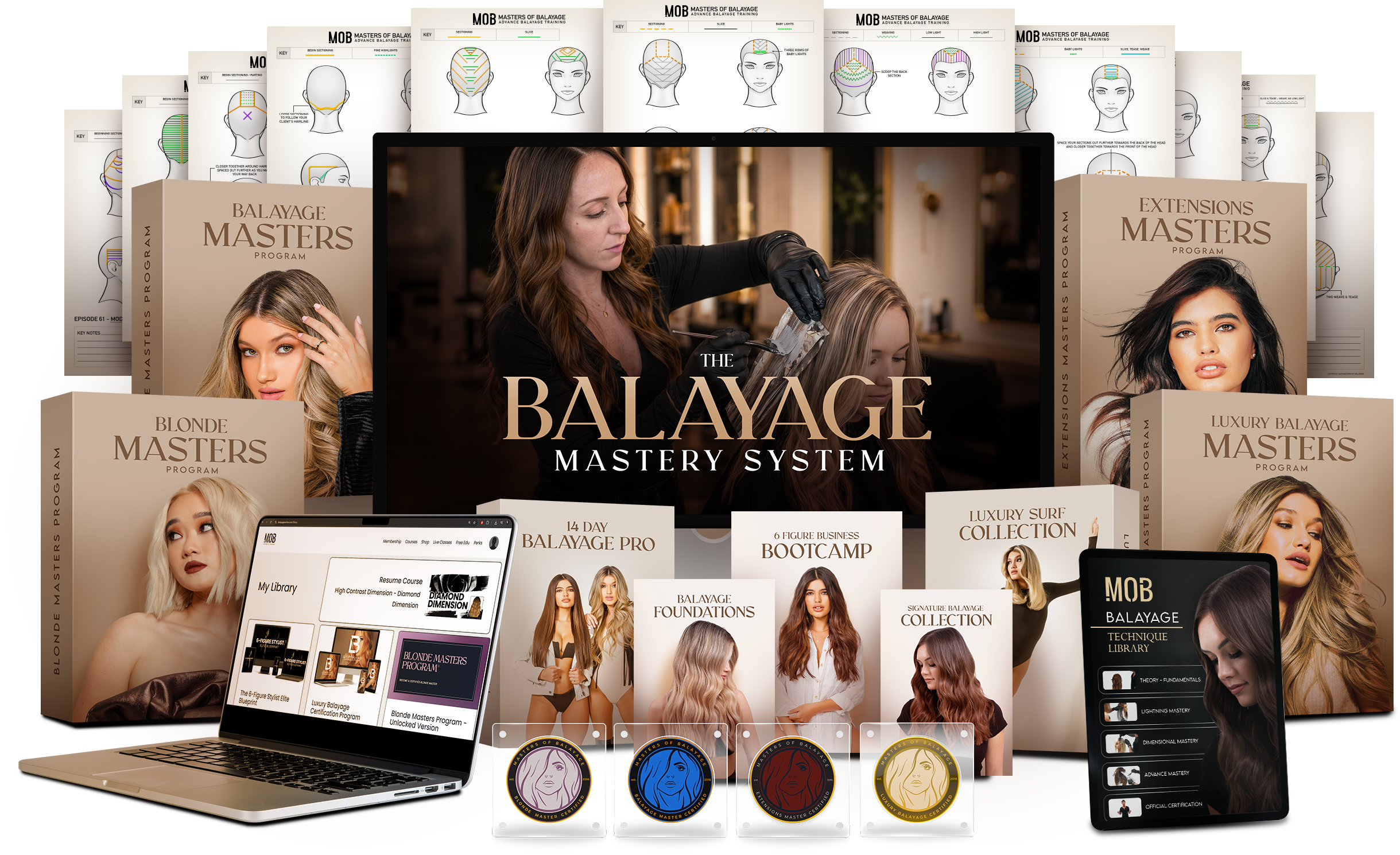 The Balayage Mastery System