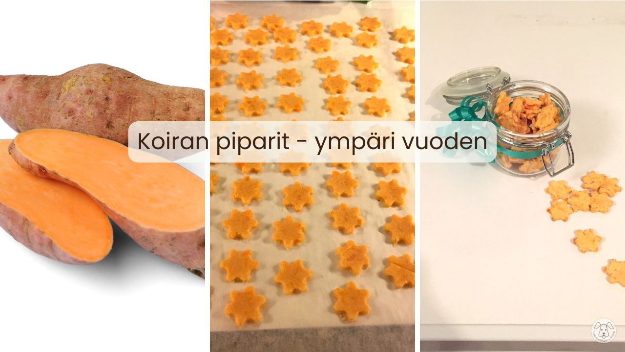 piparit koiralle resepti