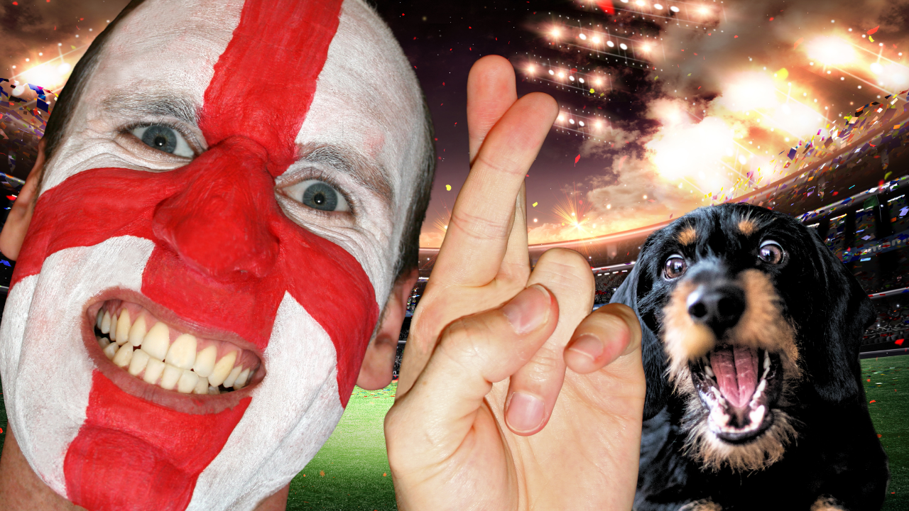 England football fan with face painted in St George's Cross next to a worried dog — illustrating the connection between fan expectations and dog behaviour pressure.