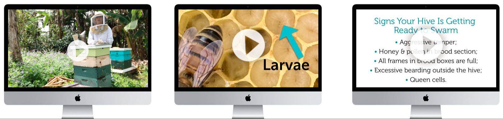 Supporting beekeeping course image
