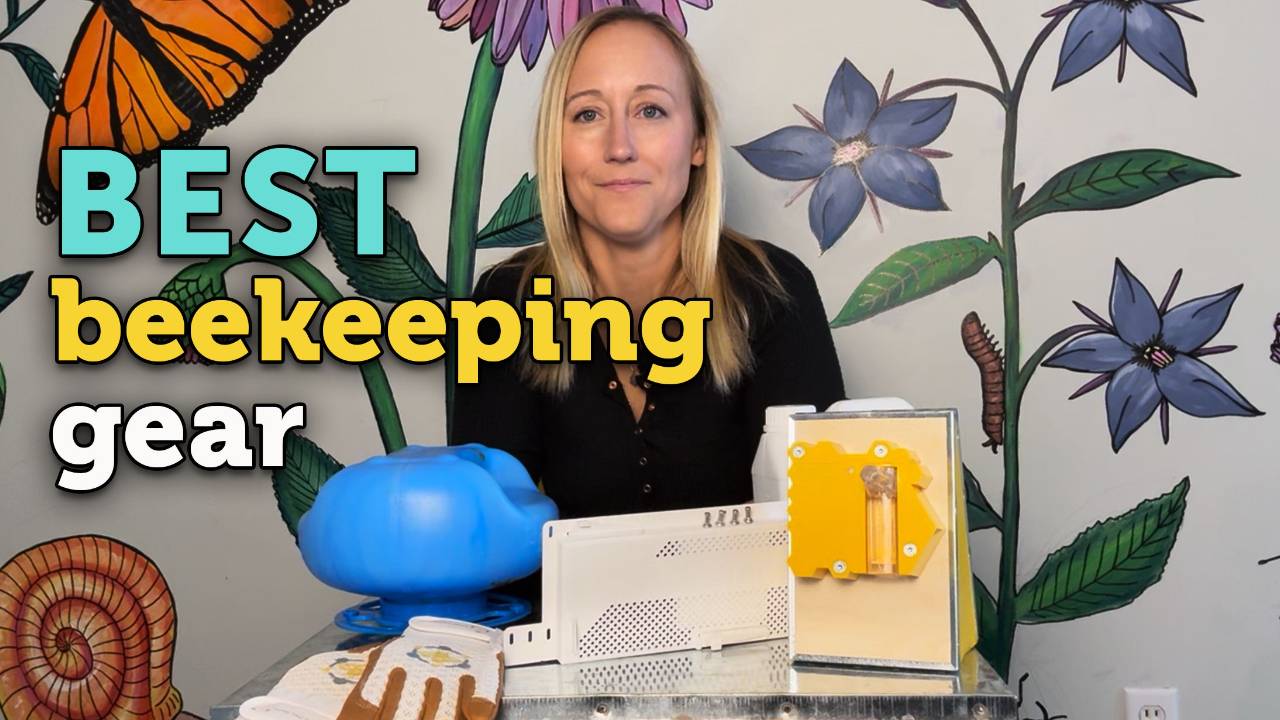 Best Beekeeping Equipment of 2025