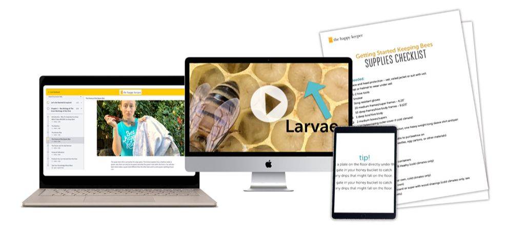 Supporting beekeeping course image