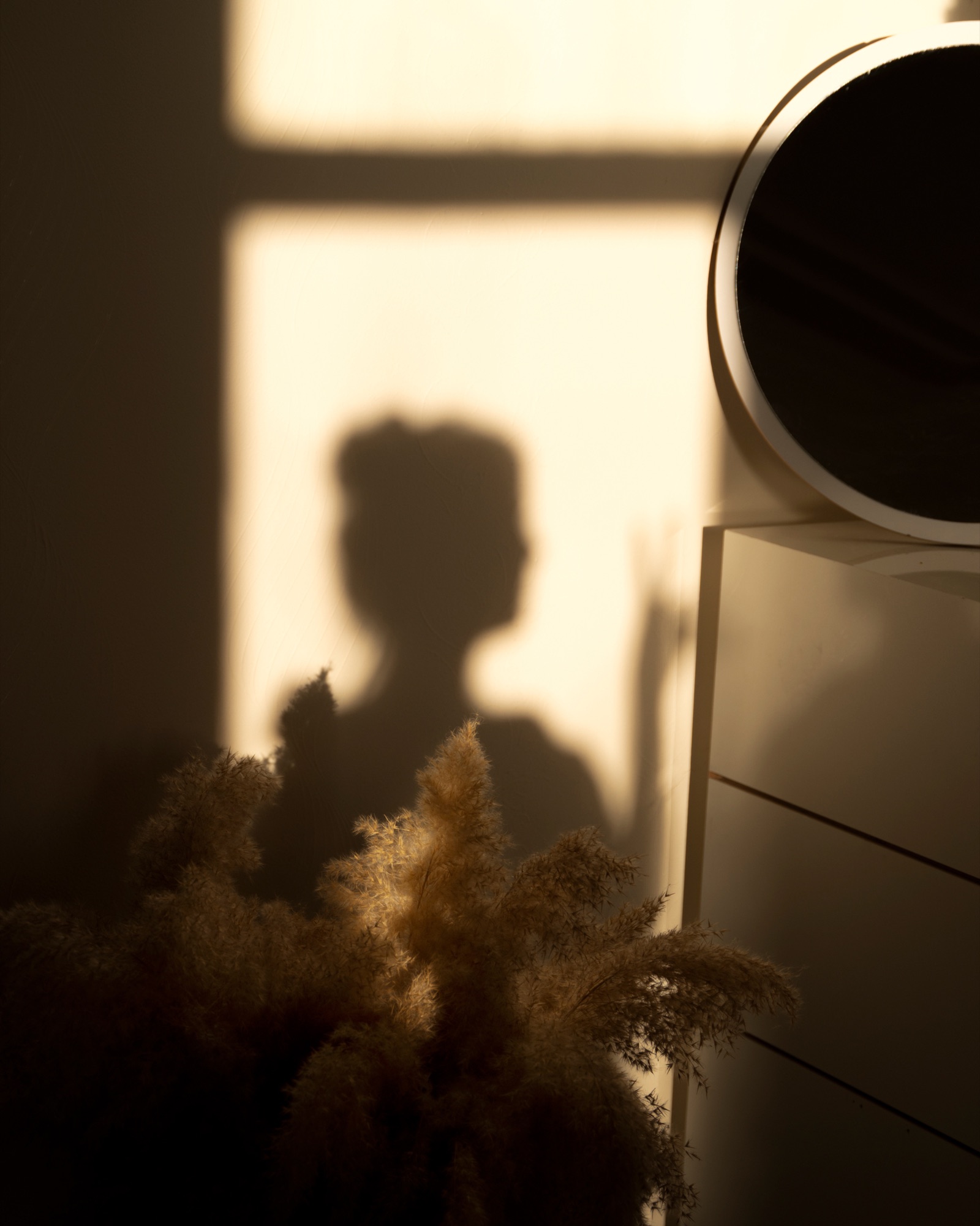 A woman's shadow cast on a sunlit wall