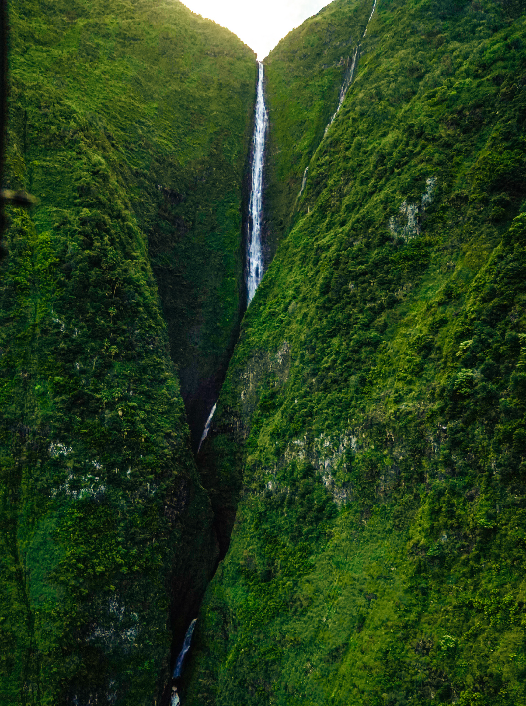 North Shores, Molokai