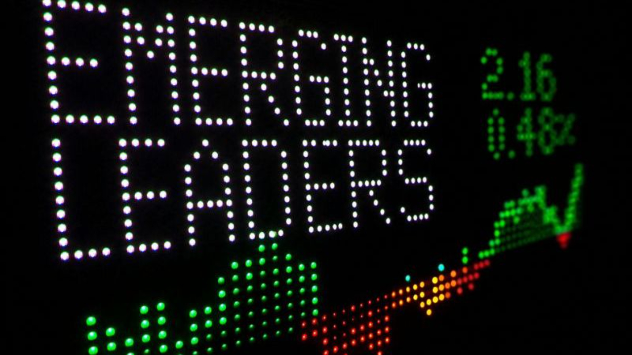 Investment Risk and Opportunity