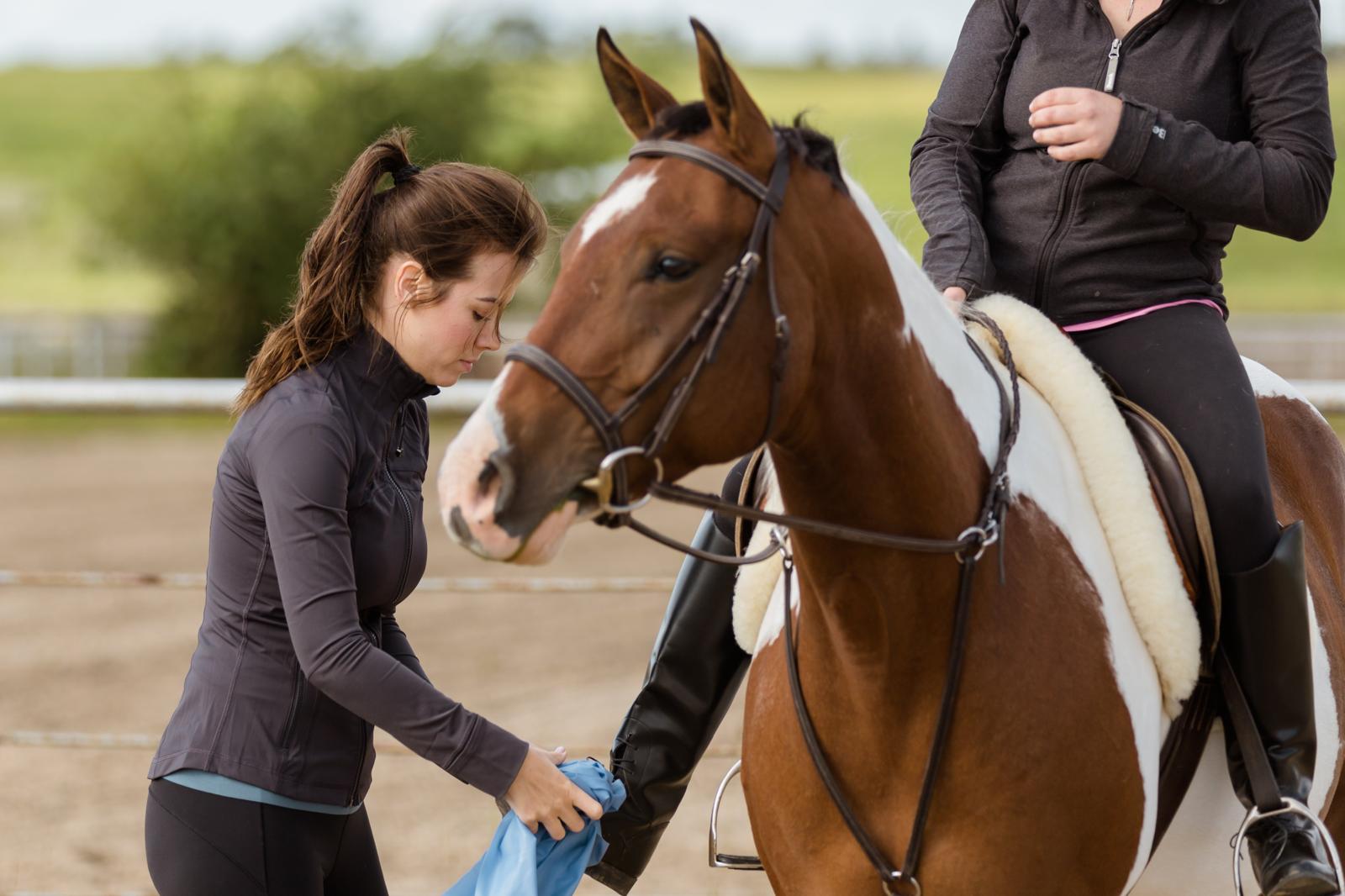 Rider lower leg biomechanics