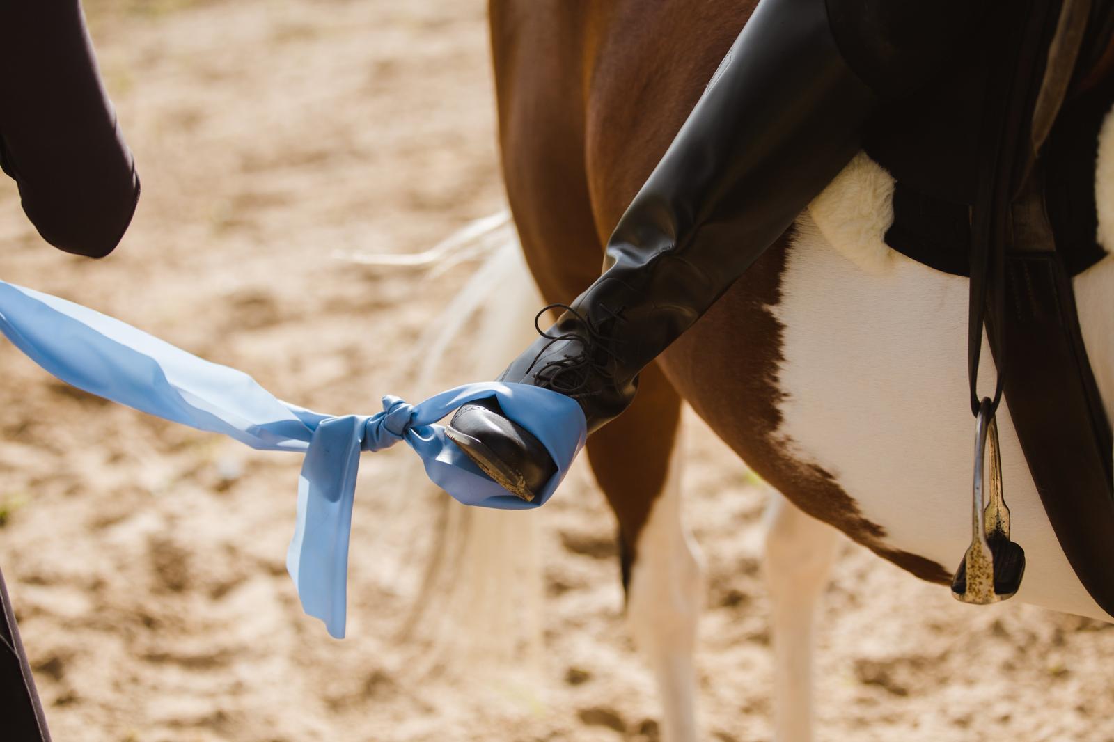 Horse receives cleaner aids