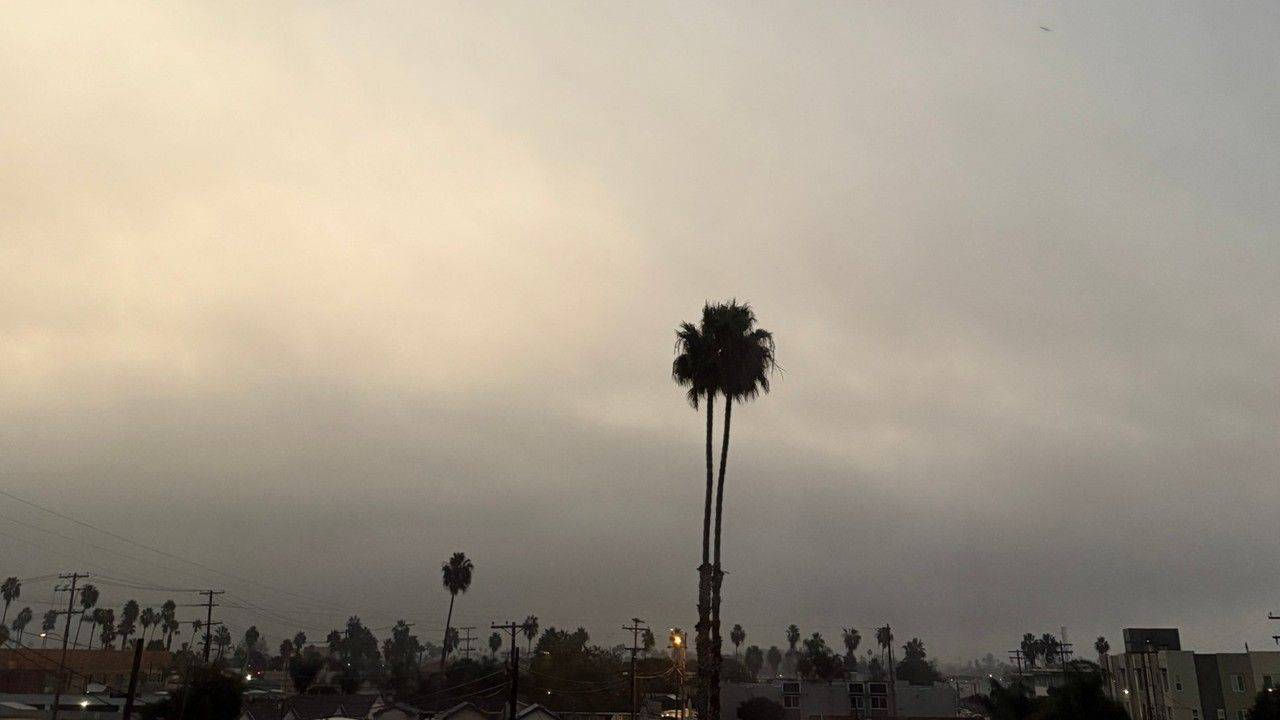 Twin palm trees silhouetted against a heavy gray October sky at dawn, with a faint warm glow behind the clouds.
