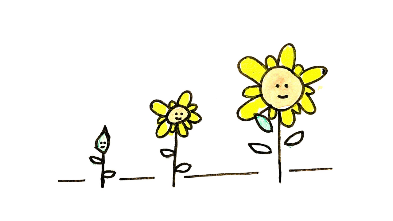 A hand-drawn illustration of three smiling yellow flowers at different stages of growth, from a small bud to a large blooming flower, with leaves and horizontal lines between them.