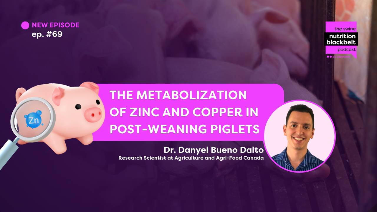 The metabolization of Zinc and Copper in Postweaning Piglets