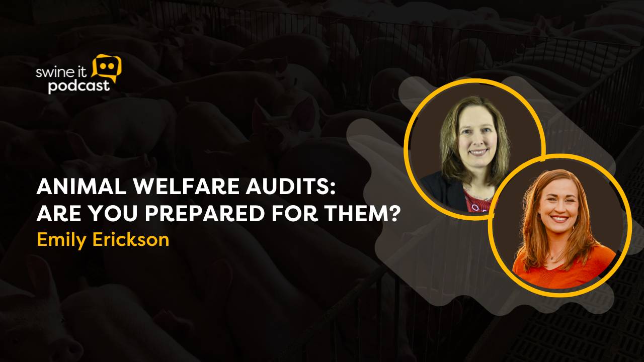 Animal welfare audits are you prepared for them?